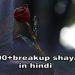 300+ breakup shayari  in hindi | ब्रेकअप शायरी हिंदी में।