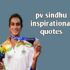 50+ pv sindhu quotes in hindi | पीवी सिंधु के प्रेरक विचार।